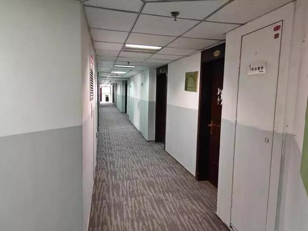 起拍价6616元/㎡ CBD旁的物业价值洼地，还是大型工厂的转型信号？